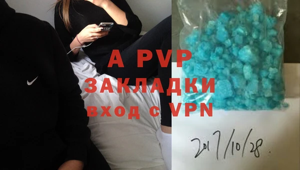 индика Баксан
