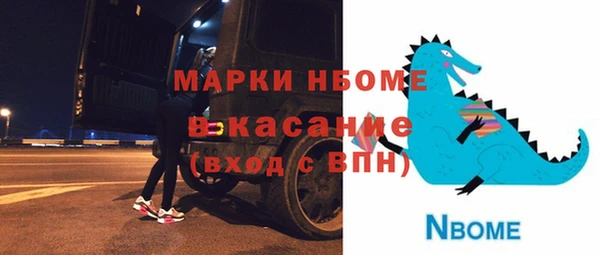 индика Баксан
