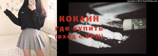индика Баксан