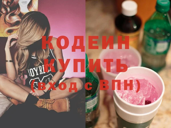 индика Баксан