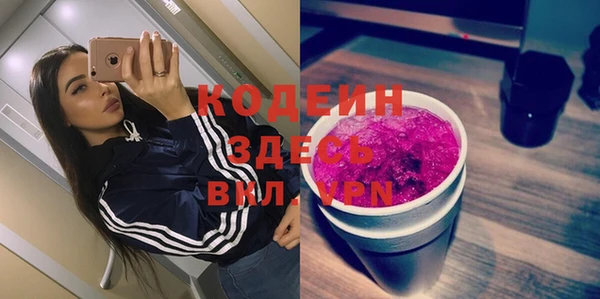 индика Баксан