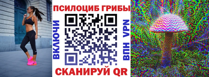 как найти   Белозерск  ссылка на мегу как зайти  Псилоцибиновые грибы Psilocybe 